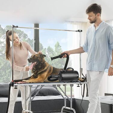 Професійний фен для собак 3200W з 4 насадками, чорний, для грумінгу