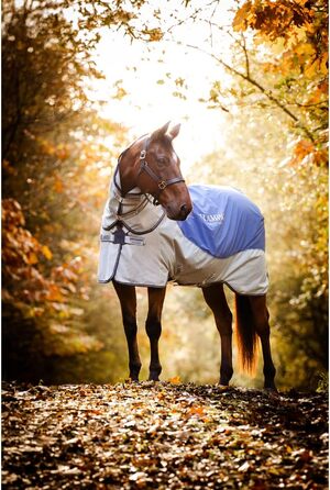 Кінська попона Horseware Rambo Autumn Series, демісезонна, водонепроникна, для вулиці