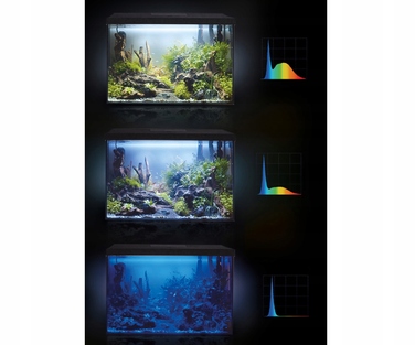 Комплект акваріума Aquael Box 112л (80x35x40) з освітленням 