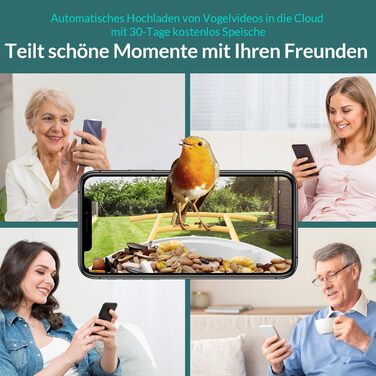 Розумна годівниця для птахів NETVUE Birdfy з WiFi камерою, відеозаписом, кольоровим нічним баченням, автоматична станція для підгодівлі диких птахів