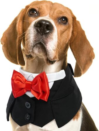 Нашийник для собак з краваткою для весілля, смокінгу, Дня святого Валентина, дня народження - костюм для собак, одяг для котів (чорний, M) M Чорний