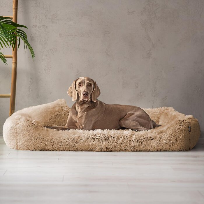 Ортопедичне ліжко для собак Tierlando® Pedro Shaggy – м'яке, пухнасте знімний ортопедичний матрац, знімний чохол, розмір 160x110 см, колір: бежевий