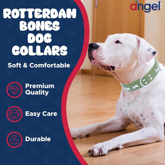 Шкіряний нашийник для собак Angel Pet Supplies, зелений, подвійний, м'яка підкладка, 40,6×3 см, для шиї 29,2–35,6 см