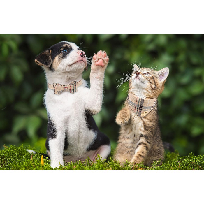 Нашийник для собак, цуценят та котів, комплект з 3 шт., з бантиком та дзвіночком, 9''-11.5'', Бежевий