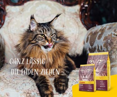 Сухий корм для літніх котів JOSERA Senior, без пшениці, 10 кг