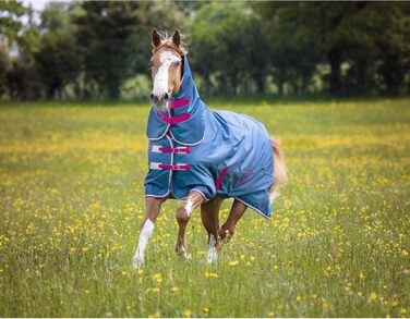 Легка кінська попона Shires Tempest Original, бірюзова