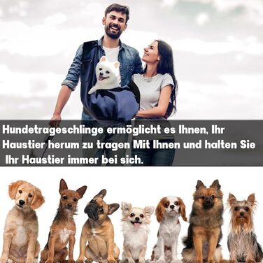 Сумка-переноска для собак та котів, блакитна: зручна переноска для маленьких та середніх тварин, ідеальна для подорожей та прогулянок