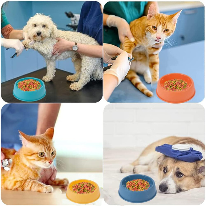 Набір мисок для котів (4 шт.) з пластику, для котів та дрібних тварин