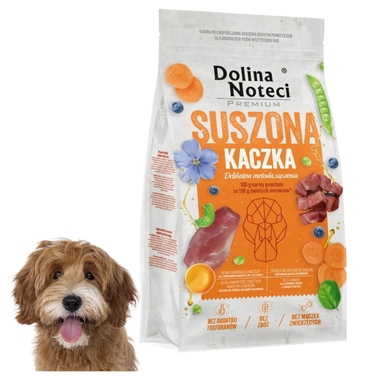 Преміум сухий корм для собак Dolina Noteci з качкою, 9 кг