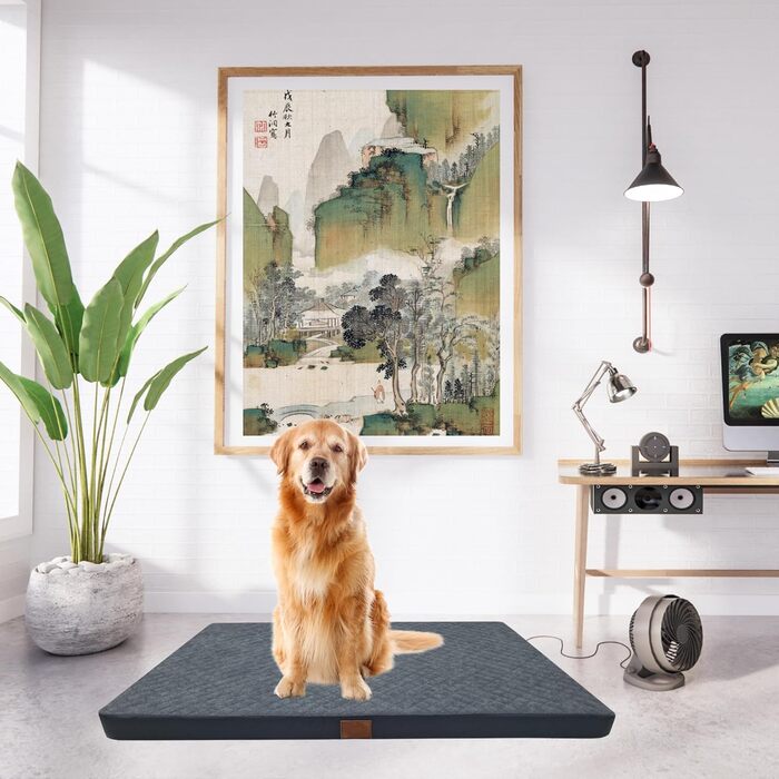 Ортопедичне собаче ліжко Odolplusz для великих собак | М'яке ліжко-кімната для середніх та великих собак | Собача матрацна подушка знімний, пральний чохол | (80x60x7 см, Сірий)