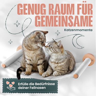 Кігтеточка-стіна Curious Paw для котів з гамаком - великі сходи з бука (Made in Germany), 2 сходи та гамак