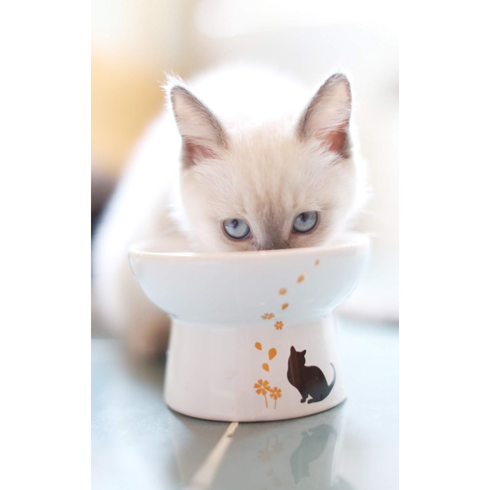 Підвищений миска для котів з порцеляни, запобігає зворотному потоку, антистрес, для котів середніх розмірів, безпечний вибір для вашого улюбленця, підходить для вологого та сухого корму