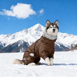 колір: браун