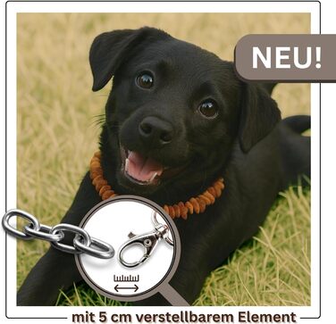 Намисто з бурштину для собак PetLove • 100% балтійський бурштин • Обов'язкове для собак та котів • Довжина: 50-55 см