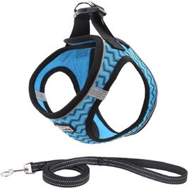 колір: блакувати хвиля