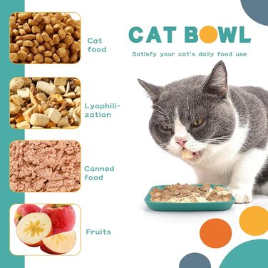 Набір мисок для котів GMMG, 6 шт. з кераміки, плоскі, квадратні