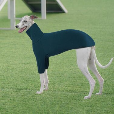 Теплий плед-пуловер для віндхунда (Greyhound) та породистих собак, зимова куртка, блакитний, XXL