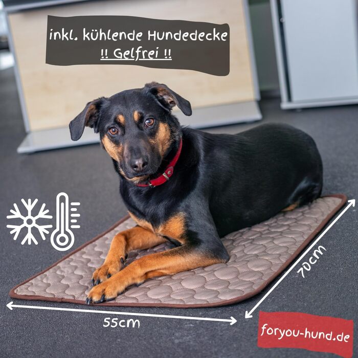 Захист для багажника з захистом краю вантажного отвору foryou® + килимок для собак - універсальний захист багажника для собак, водовідштовхувальний, стійкий до подряпин, преміум якість, Made in Germany