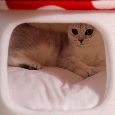 Кігтечка-ліжко для котів Pilz, знімний подушкою, м'яке та тепле, 50x47 см (Червоний, L)