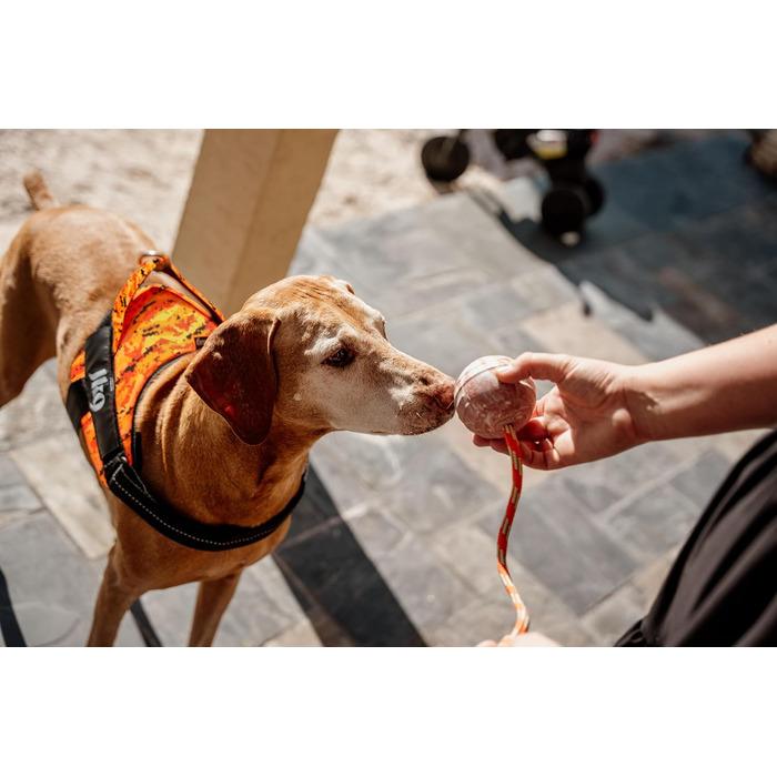 Шлейка Julius-K9 Power&More для собак, розмір L (Pixeljuice)