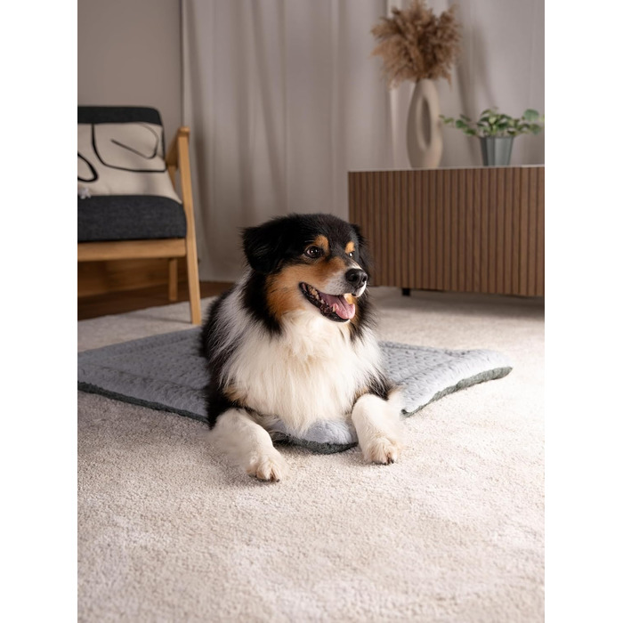 TrendPet Лежанка для собак і котів, двостороння, з підкладкою, сіра (75x55 см)