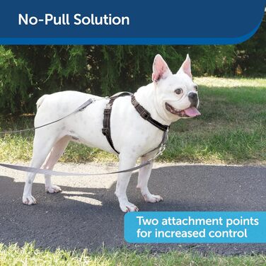 PetSafe 3-в-1 шлея для собак, з двоточковим повідцем, проти ривків, розмір S, чорна, регульована