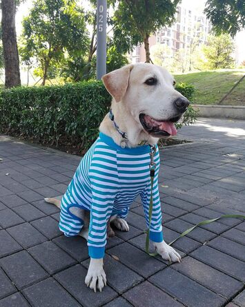 Піжама для собак, комбінезон, одяг для середніх та великих собак, дихаючий, з блискавкою, м'яка бавовна