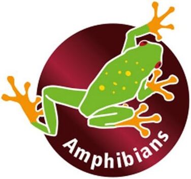 Декоративна тарілка-підставка Hobby Stump, 27,6 x 19,4 x 7,4 см, 1 шт.