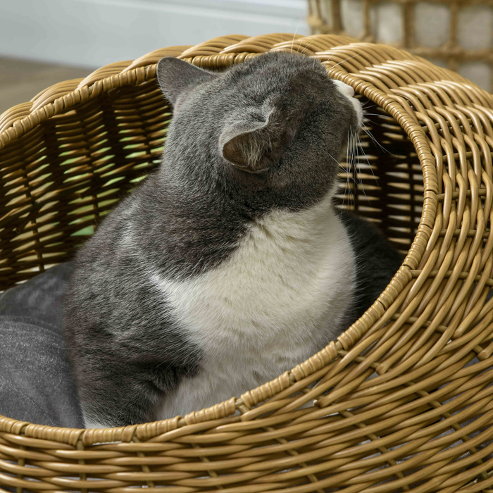 PawHut Rattan Cat Basket Cat House з подушкою для котів до 4 кг, кімнатна котяча печера з поліетиленового ротанга, Ø50 x 31 см, світло-коричневий для затишного відпочинку