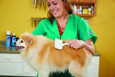 Гребінець для тварин Andis Haustier - гнучкий, для грумінгу