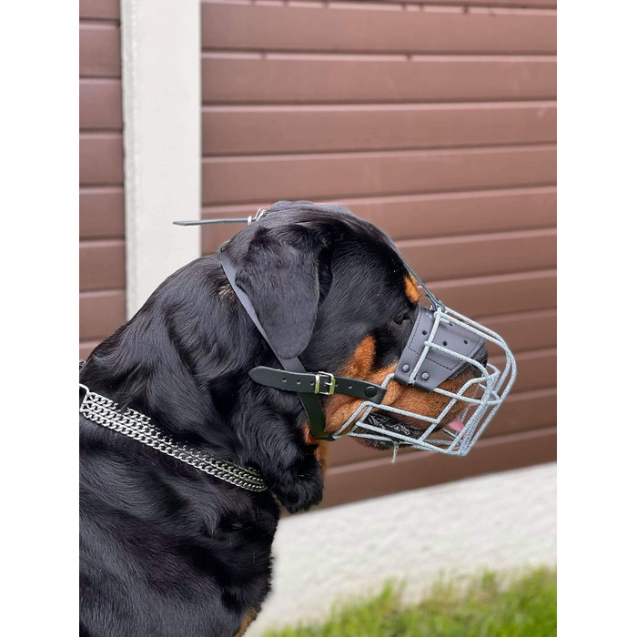 Міцний нашийник-маска для собак з дротяної сітки, Rottweiler, Mastiff, Golden Retriever та інші (шкіряний, чорний, R4)