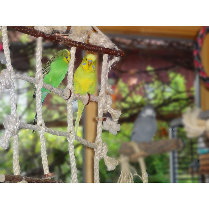 Іграшка для папуг Vogelgaleria 3 в 1: лазіння, сидіння, гризіння, з сизалю та натурального дерева, аксесуар для хвилястих папуг