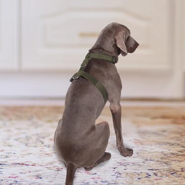 Шлейка для собак FeimaX великих порід, тактична, не тягне, дихаюча, зручна, зелена (L)