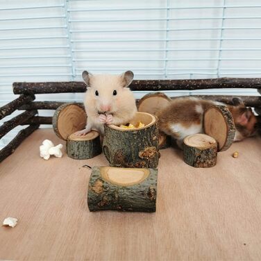 Іграшки для хом'яків, морських свинок та кроликів: аксесуари та розваги для гри