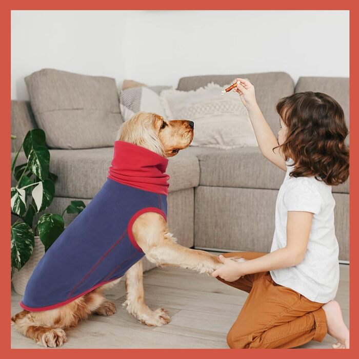 Пуловер для собак IECOii: теплий флісовий светр-жилет для собак, накидка-пуловер, теплий нашийник, сорочка для собак, пуловер для собак, флісовий пуловер для собак, сірий колір, розміри L (обхват грудей 48 см) та XL (обхват грудей 55 см), темно-синій колі