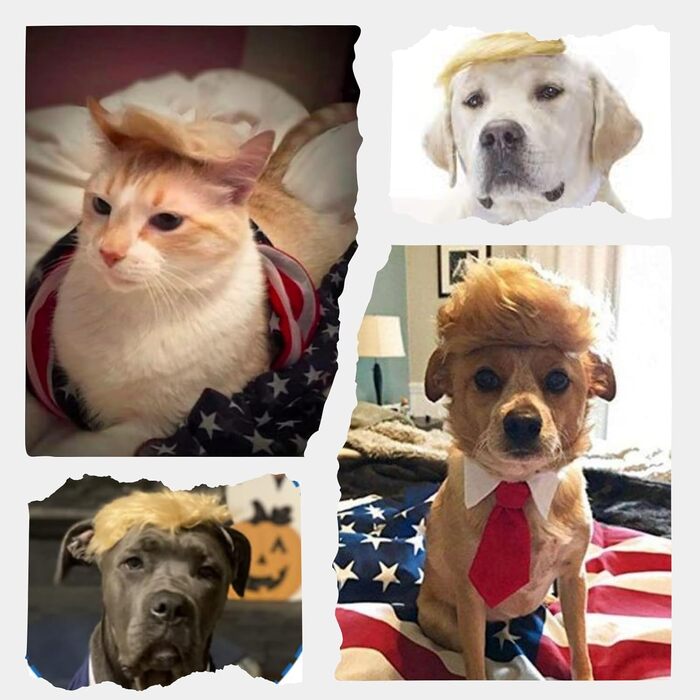 Блондин для домашніх тварин з бантиком: Іконічна та кумедна шапочка Tupemütze, косплей-одяг, костюм, аксесуари на Хелловін (червона краватка, L)