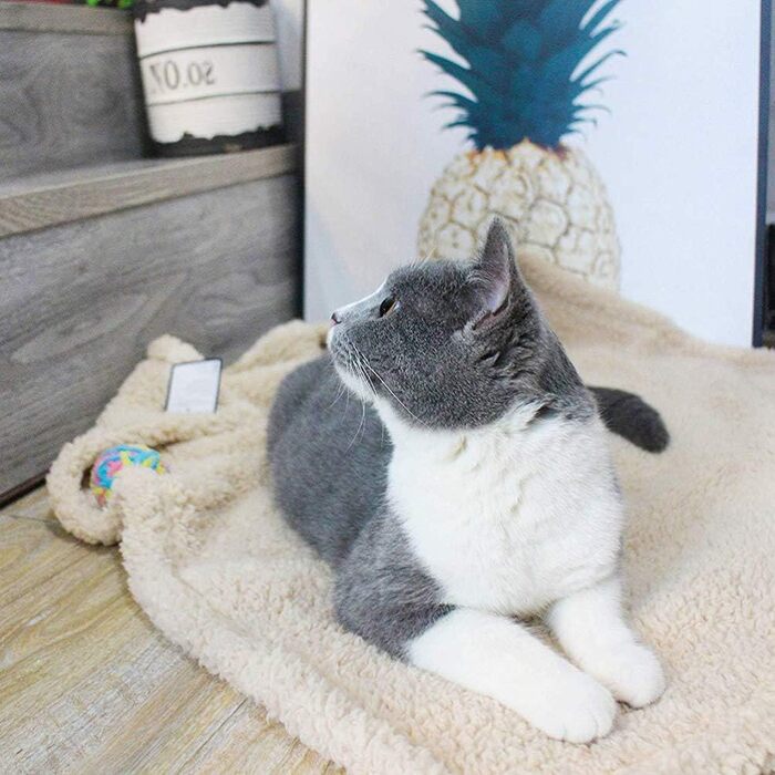 Balacoo Преміум флісова ковдра для собак, м'яка та тепла, плюшевий килимок для собак та котів, розмір L (бежевий)