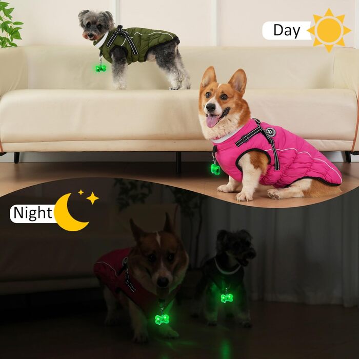 Зимовий одяг для собак: теплий, водонепроникний зимовий одяг з дзвоником, світловідбиваючі смуги, LED-ошийник, для маленьких та середніх собак (зелений, XL)