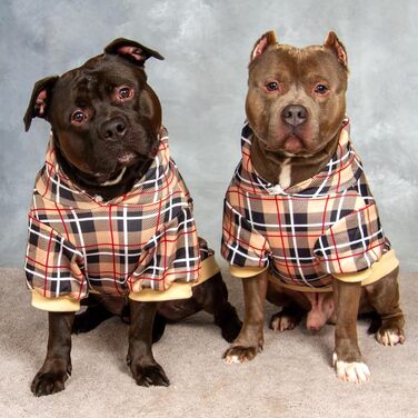 Пуловер для собак ExPawlorer в британському стилі в клітинку Тартан, теплий, з отвором для повідка, з капюшоном, для холодної погоди та зими, розміри XL-XXL (Бежевий)