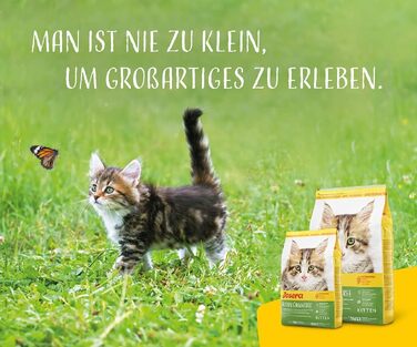Беззерновий сухий корм для кошенят JOSERA Kitten grainfree, 10 кг (набір з 5 пачок по 2 кг)