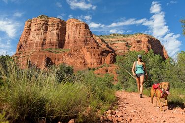 Рюкзак для собак Ruffwear Trinkruckack (Blue Duk) з водою 2x600 мл + Ingletrak Pack 200 мл