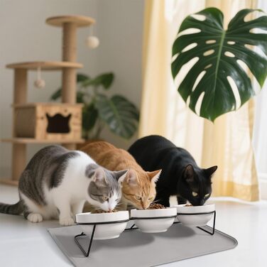 Набір мисок для котів Vikcvcs (3 шт.) з підставкою, кераміка, силікон, 15° нахил, ергономічні, для котів та маленьких собак