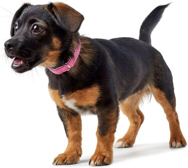 HUNTER Ошийник для собак Modern Art Luxus, рожевий, розмір 32