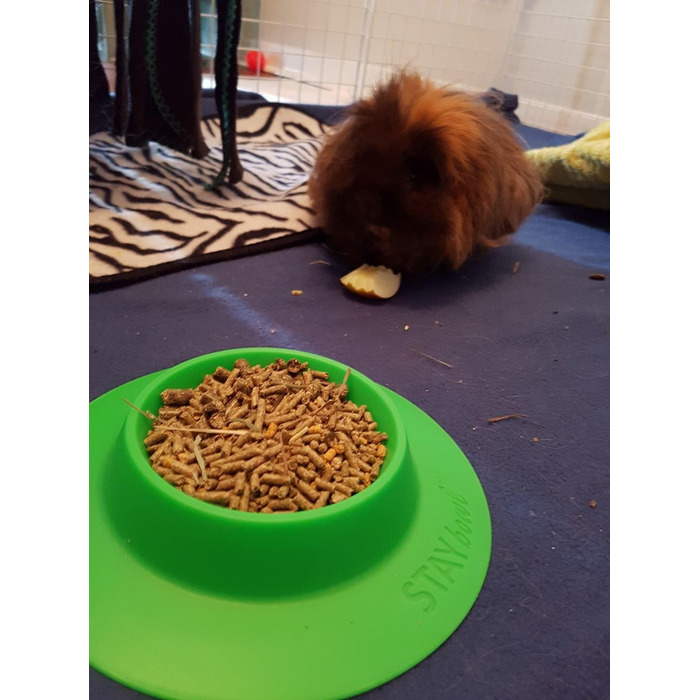 STAYbowl Миска для гризунів та інших дрібних тварин, кріпиться, салатовий колір