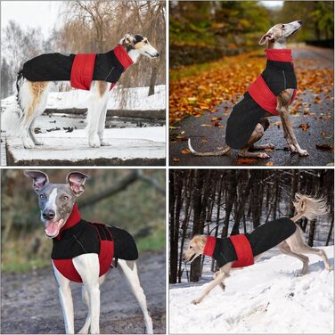 Зимовий теплий дощовик для собак Віндхунд (Whippet) - червоний, з відбиваючими смугами