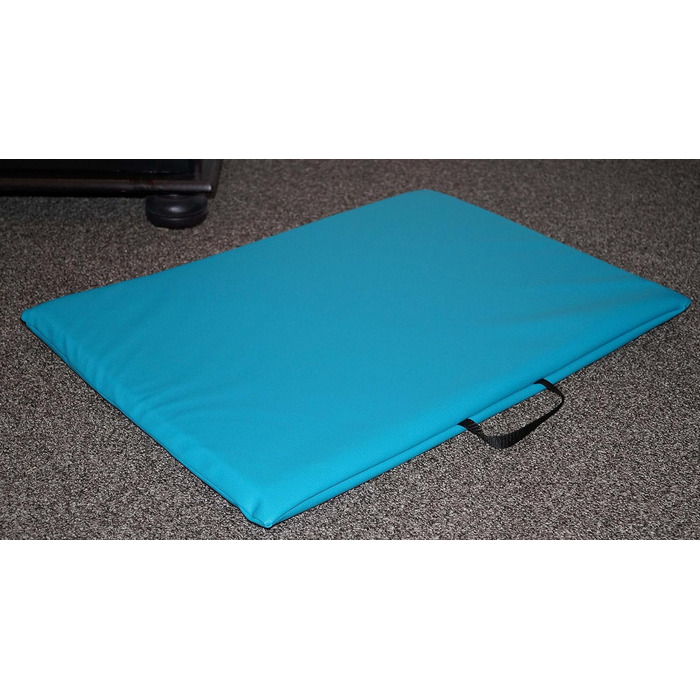 Килимок для собак, лежанка для тварин: двосторонній, штучна шкіра, піна, 3 см (60x40 см, блакитний)