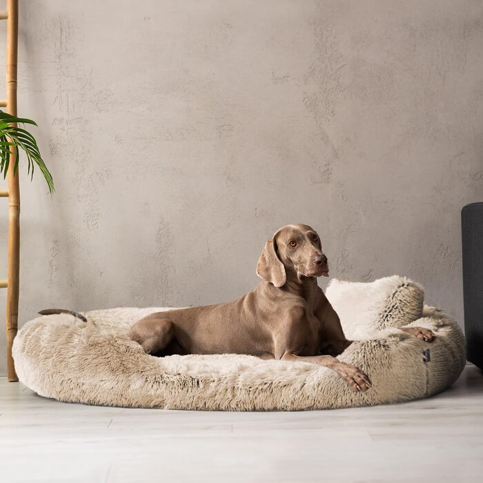 Ортопедичне ліжко для собак Tierlando® Pamela з м'якого штучного хутра Shaggy, знімним матрацом та пральним покриттям, надзвичайно м'яке, розмір 175x115 см, колір: бежевий