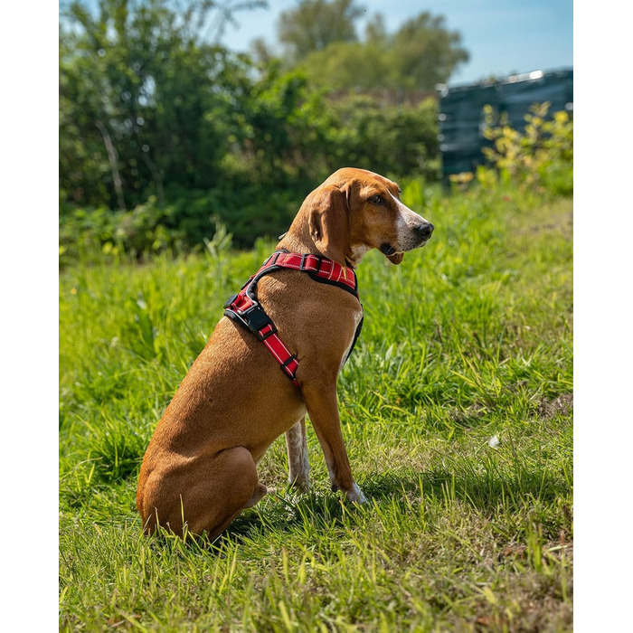 Шлейка для собак Ionto з відбиваючим матеріалом, м'яка, червона, розмір S, з двома кільцями, 4 ременями та гумовим ручним захопленням