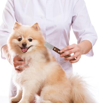 Гребінець для собак Toyvian (2 шт.) - професійний інструмент для догляду за шерстю, м'яка масажна щітка для довгої та короткої шерсті