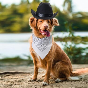 Костюм ковбоя для собак та котів Yewong, 2 шт. (червоний, чорний)